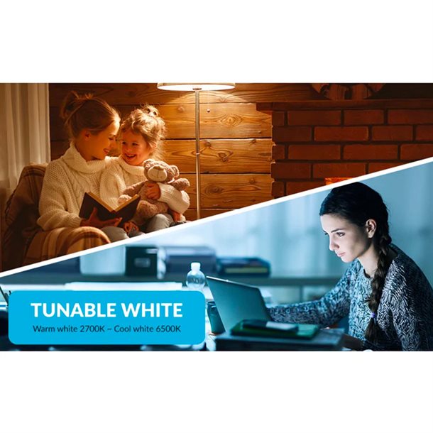 Hihome Smart Filament LED WiFi pære varm hvid 2700K til cool hvid 6500K E27 WAL-FCT27